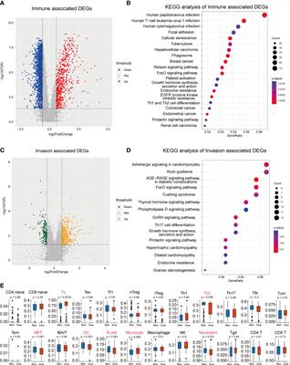 Identification of biomarkers associated with the invasion of nonfunctional pituitary neuroendocrine tumors based on the immune microenvironment